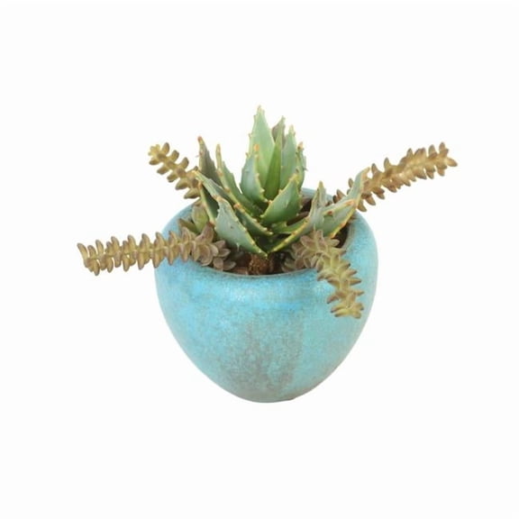 Distinctive Designs 3033A Luxury Artificial Decor Succulent Garden in Turquoise Pot
