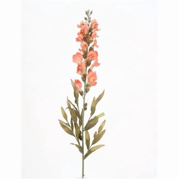 Distinctive Designs SM Snapdragon - Anti Pch - Pack of 12