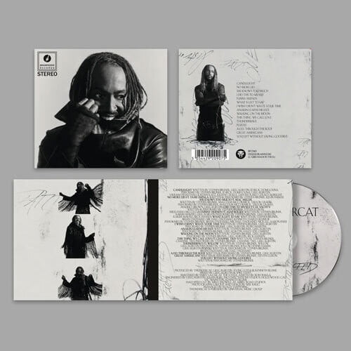 Thundercat - Distracted - Music & Performance - CD