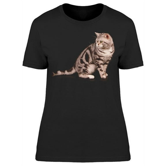 Distracted Shorthair Cat T-Shirt Women -Image by Shutterstock, Female Small