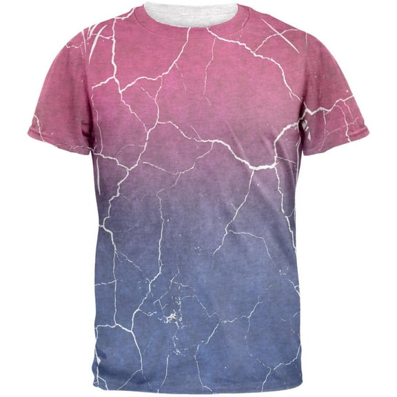 Distressed Bi-Sexual Gradient Flag Mens T Shirt Heather White LG