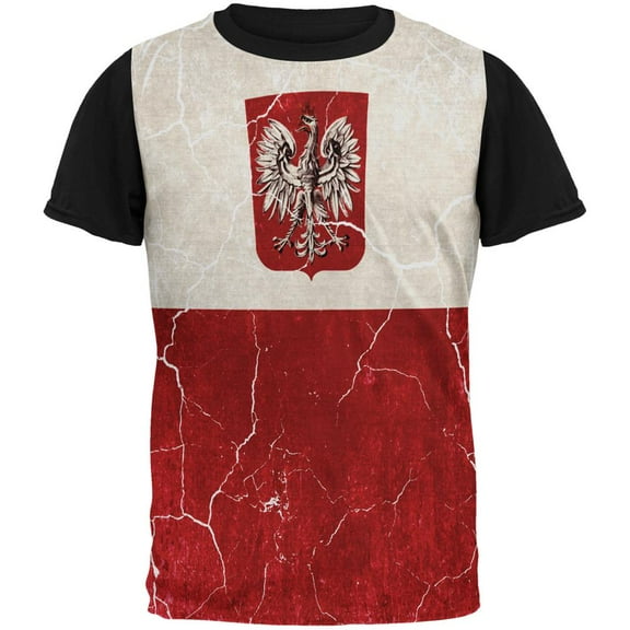 Distressed Grunge Polish Crest Flag All Over Mens Black Back T Shirt Multi MD