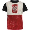 thumbnail image 1 of Distressed Grunge Polish Crest Flag All Over Mens Black Back T Shirt Multi X-LG, 1 of 1
