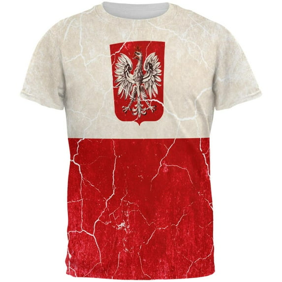 Distressed Grunge Polish Crest Flag All Over Mens T Shirt Multi LG