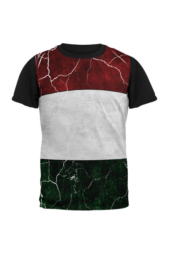 Distressed Hungarian Flag All Over Mens Black Back T Shirt Multi MD