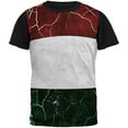thumbnail image 1 of Distressed Hungarian Flag All Over Mens Black Back T Shirt Multi X-LG, 1 of 1