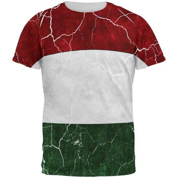 Distressed Hungarian Flag All Over Mens T Shirt Multi LG