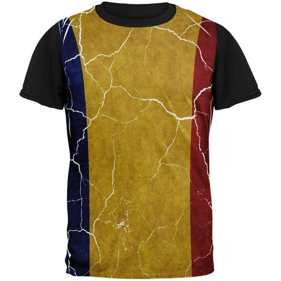 Distressed Romanian Flag All Over Mens Black Back T Shirt Multi SM