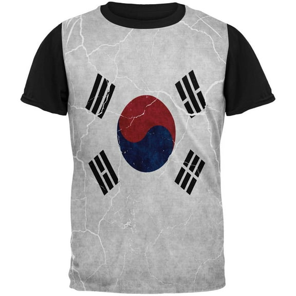 Distressed South Korean Flag All Over Mens Black Back T Shirt Multi MD