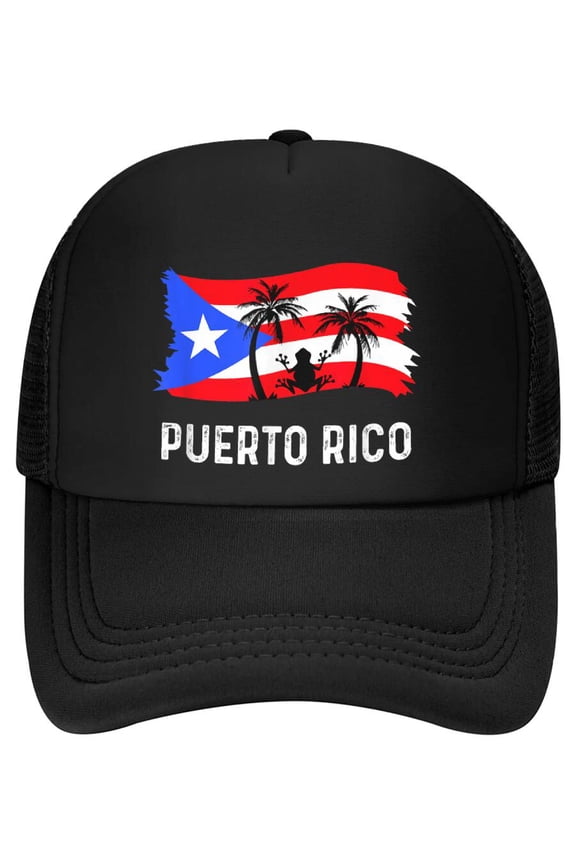 Distressed Style Puerto Rico Frog Puerto Rico Baseball Cap