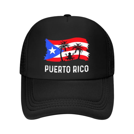 Distressed Style Puerto Rico Frog Puerto Rico Baseball Cap