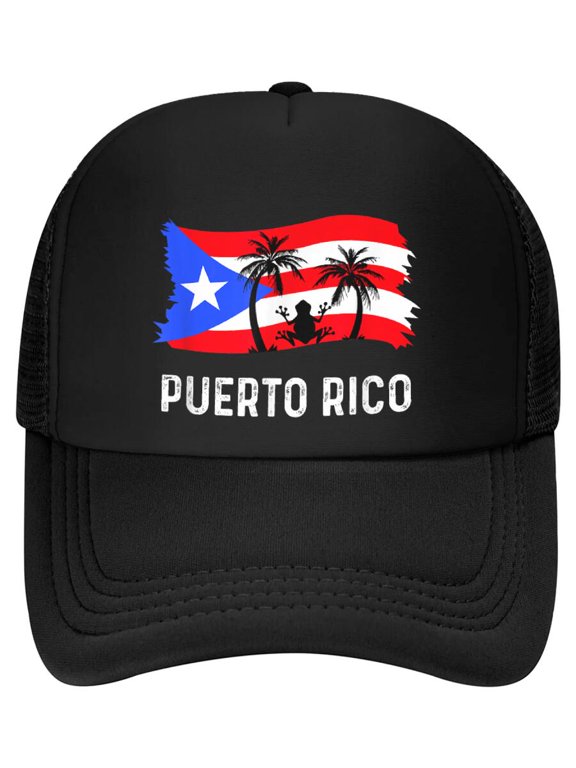 Distressed Style Puerto Rico Frog Puerto Rico Baseball Cap