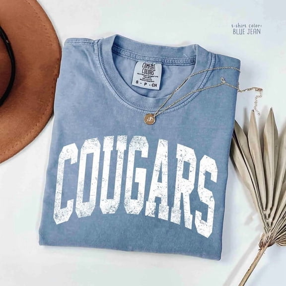 Distressed West Virginia Shirt, Comfort Colors West Virginia Fan Sweatshirt, Vintage Tshirt Tee, West Virginia Gift, College Student gift