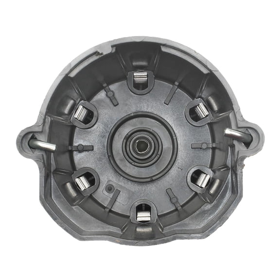 Distributor Cap