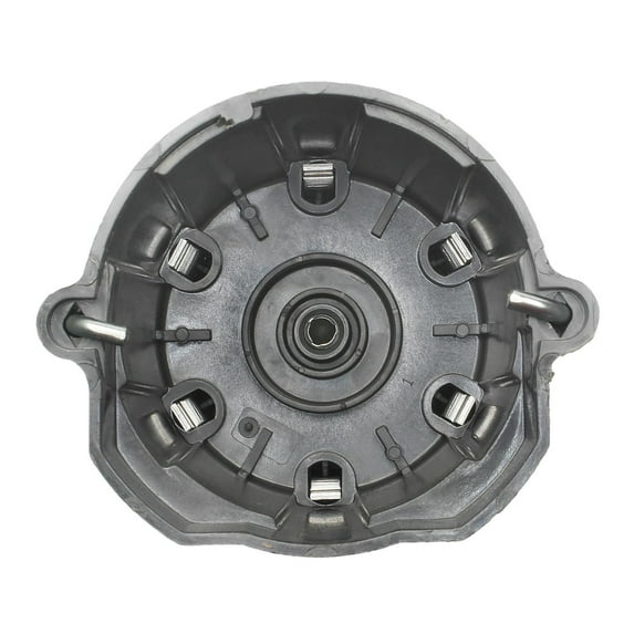 Distributor Cap