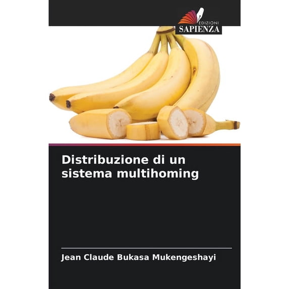 Distribuzione di un sistema multihoming (Paperback)
