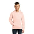 thumbnail image 1 of District Youth V.I.T. Fleece Hoodie DT6100Y, 1 of 4