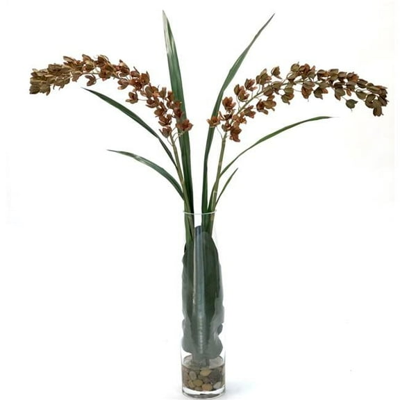 Disttive Designs 17148 Unisex Brown Dendrobium Orchid in Tall Clear Vase - Green