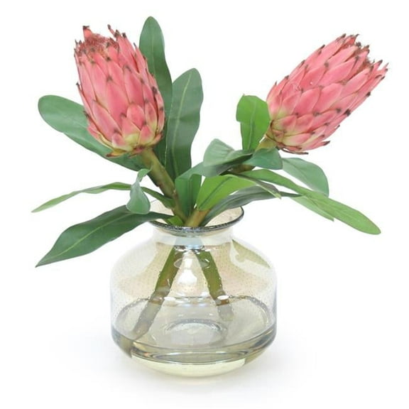 Disttive Designs 17213 Unisex Mauve Proteas in Amber Glass - Pink