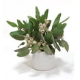 thumbnail image 1 of Disttive Designs 1918B Unisex Frosted Eucalyptus in White Container - Green, 1 of 1