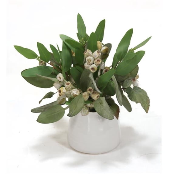 Disttive Designs 1918B Unisex Frosted Eucalyptus in White Container - Green