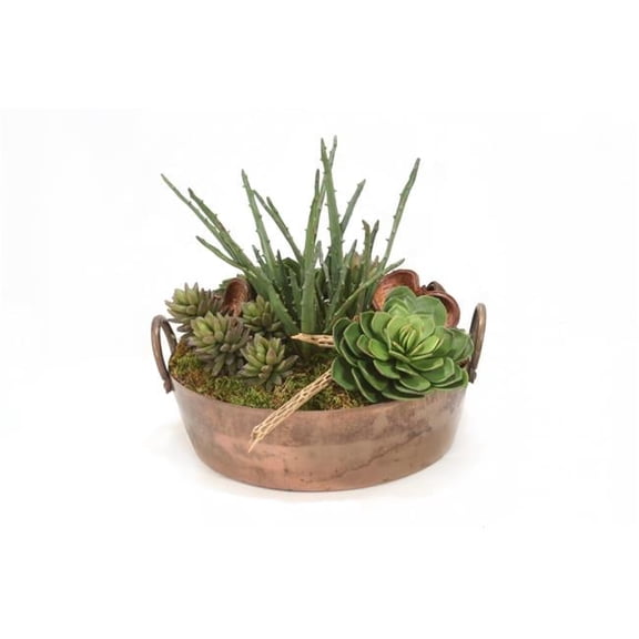 Disttive Designs 1940 Unisex Mixed Succulents in Round Copper Planter - Green