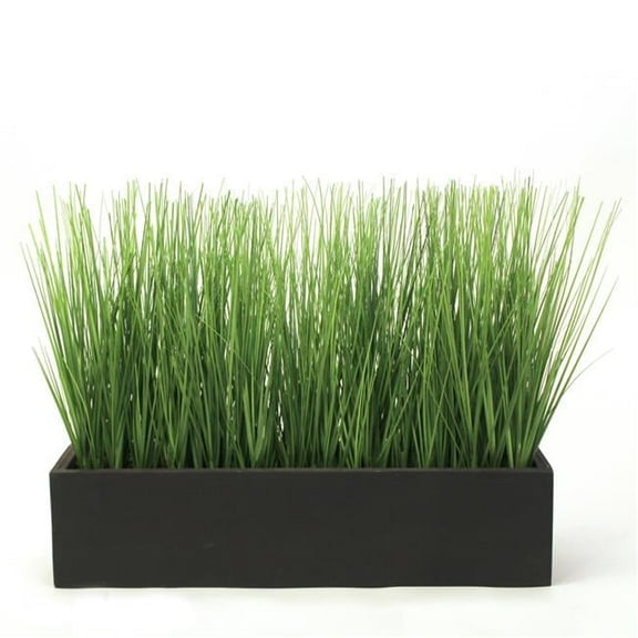 Disttive Designs 2134 Unisex Grass in Black Rectangle Box - Brown
