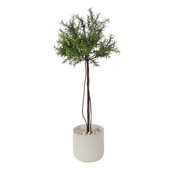 Disttive Designs 2576G Unisex Small Thyme Tree in White Planter - Green
