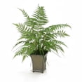 thumbnail image 1 of Disttive Designs 2631 Unisex Forest Fern in Toleware Planter in Lion Motif Planter - Green, 1 of 1