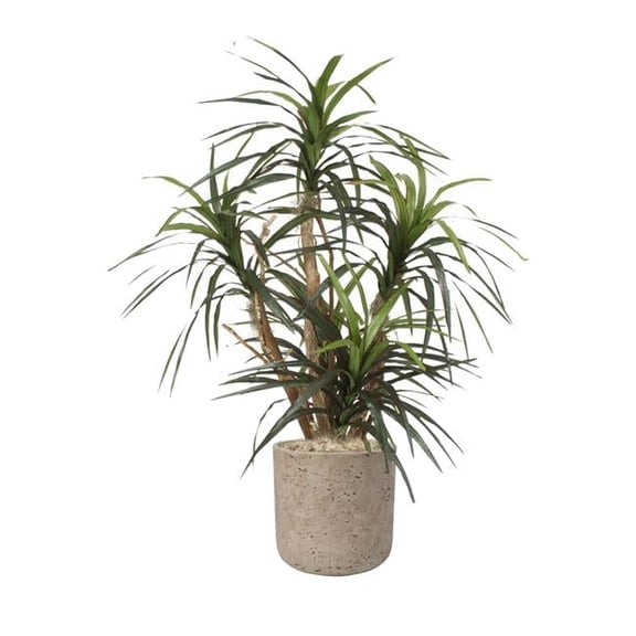 Disttive Designs 2911-F88XL Unisex Dracaena Marginata in Grey Stone Charlie Planter - Green