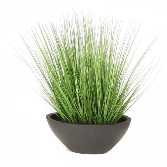 Disttive Designs 2919E Unisex Green Grass in Black Oval Planter