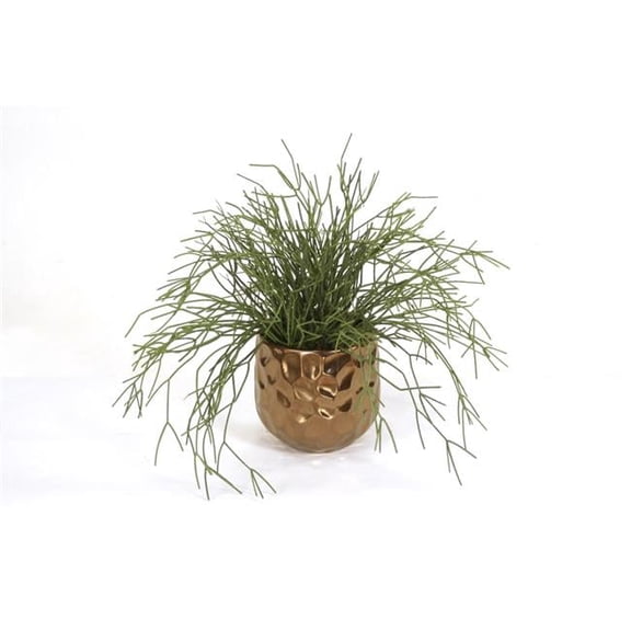 Disttive Designs 3059 Unisex Pencil Cactus Plant Succulent in Gold Planter - Green