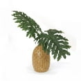 thumbnail image 1 of Disttive Designs 3074 Unisex Large Philo Leaves in Large Round Jar - Green, 1 of 1