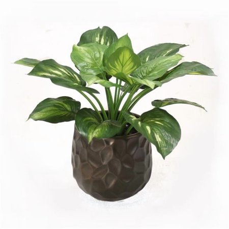 Disttive Designs 3090 Unisex Hosta Plant in Bronze Planter - Green