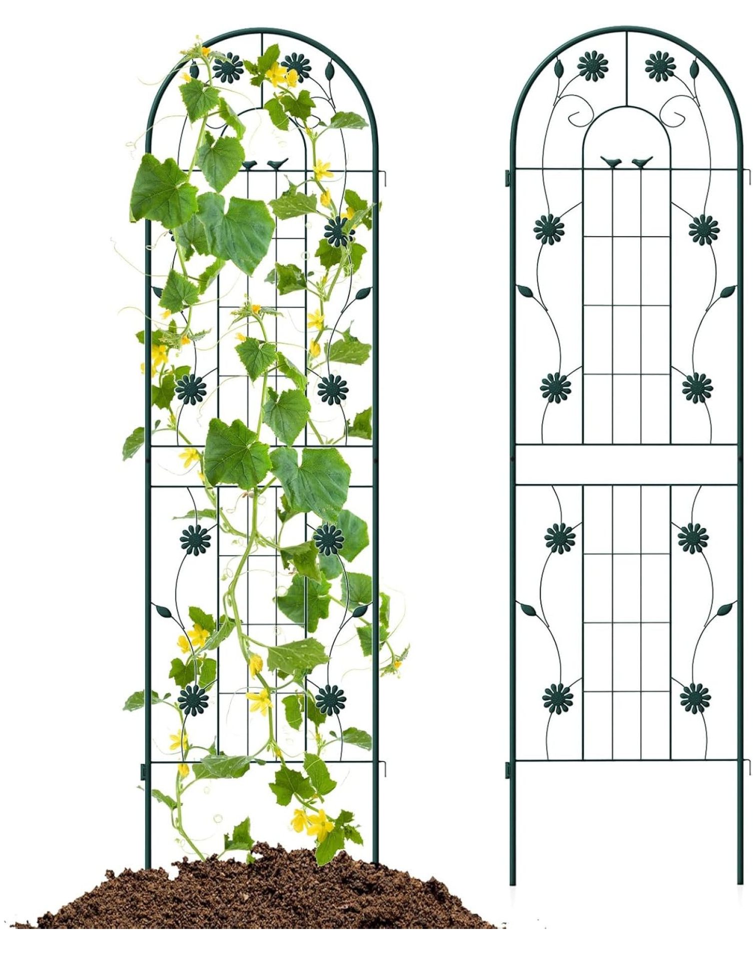 Ditangy 2 Pack Garden Trellis, 71" x 20" Rustproof Metal Plant Trellis
