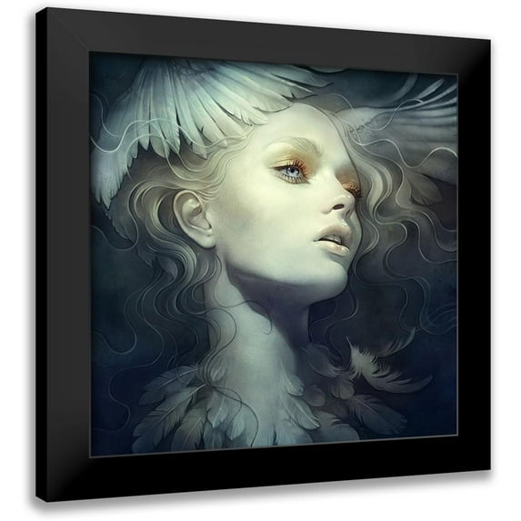 Dittman, Anna 20x20 Black Modern Framed Museum Art Print Titled - Fly