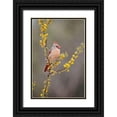 thumbnail image 1 of Ditto, Larry 13x18 Black Ornate Wood Framed with Double Matting Museum Art Print Titled - Northern cardinal perched, 1 of 4