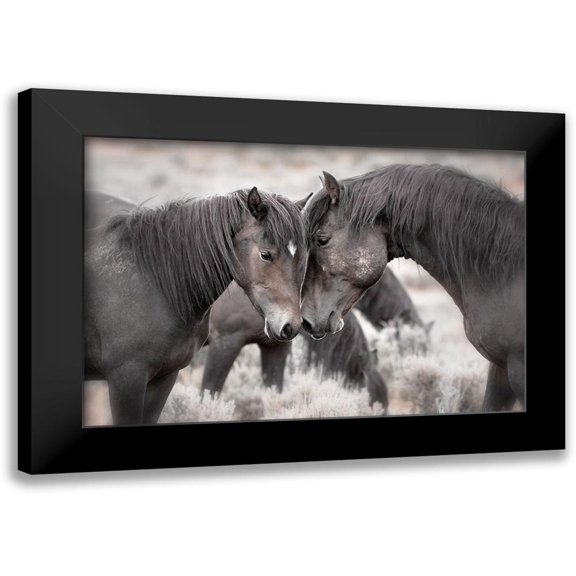 Ditto, Larry 14x11 Black Modern Framed Museum Art Print Titled - Wild Horses