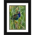 thumbnail image 1 of Ditto, Larry 17x24 Black Ornate Wood Framed with Double Matting Museum Art Print Titled - Purple Gallinule-Porphyrio martinica-perched in cattails, 1 of 4