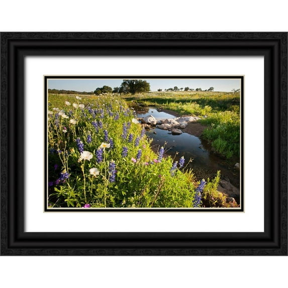 Ditto, Larry 18x13 Black Ornate Wood Framed with Double Matting Museum Art Print Titled - Wildflowers