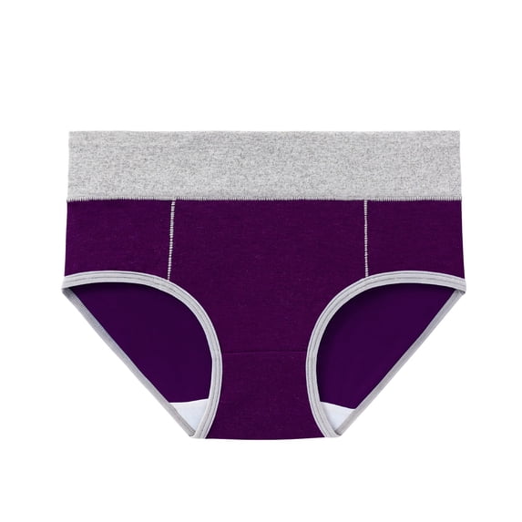 Diufon 4 Pack Plus Size Cotton Briefs for Women Stretch High Rise Underwear Breathable Briefs M-5XL (Large, Purple)