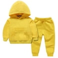 thumbnail image 1 of Diufon Baby Boy Girl Fall Winter Outfit Long Sleeve Hoodie Sweatshirt and Sweatpants Toddler Solid Color Set, 1 of 5