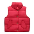thumbnail image 1 of Diufon Baby Boys Girls Cotton Vest Fall Winter Stand Collar Warm Outerwear Coat Sleeveless Thickened Jacket, 1 of 6
