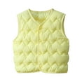 thumbnail image 1 of Diufon Baby Boys Girls Vest Kids Lightweight Button Down Sleeveless Jackets Fall Winter Warm Waistcoat, 1 of 6