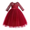 thumbnail image 1 of Diufon Elegant Lace Dress for Girls Long Sleeve Birthday Party Wedding Princess Dress Toddler Kids Gown Dress, 1 of 5