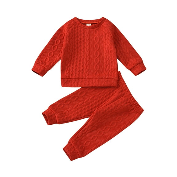 Diufon Infant Baby Boy Girl Clothes Sets Long Sleeve Tops and Elastic Waist Pants Fall Winter 2 Piece Tracksuits