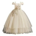 thumbnail image 1 of Diufon Kids Toddler Girls Puffy Princess Dresses Sequin Bow Layered Tulle Skirt Kids Girl Birthday Dresses (11-12 Years, Beige), 1 of 7
