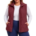thumbnail image 1 of Diufon Red Vest Women Plus Size Full Zip Stand Collar Sleeveless Quilted Vest Fall Winter Puffer Jackets with Pockets, 1 of 8