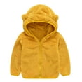 thumbnail image 1 of Diufon Spring Fuzzy Hoodies for Toddler Baby Boys Girls Fleece Cute Ear Hooded Outwear Long Sleeve Kids Top (18-24 Months, Yellow), 1 of 9