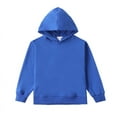 thumbnail image 1 of Diufon Toddler Baby Boy Girl Hoodie Sweatshirt Little kids Cotton Oversized Long Sleeve Solid Color Warm Tops, 1 of 2